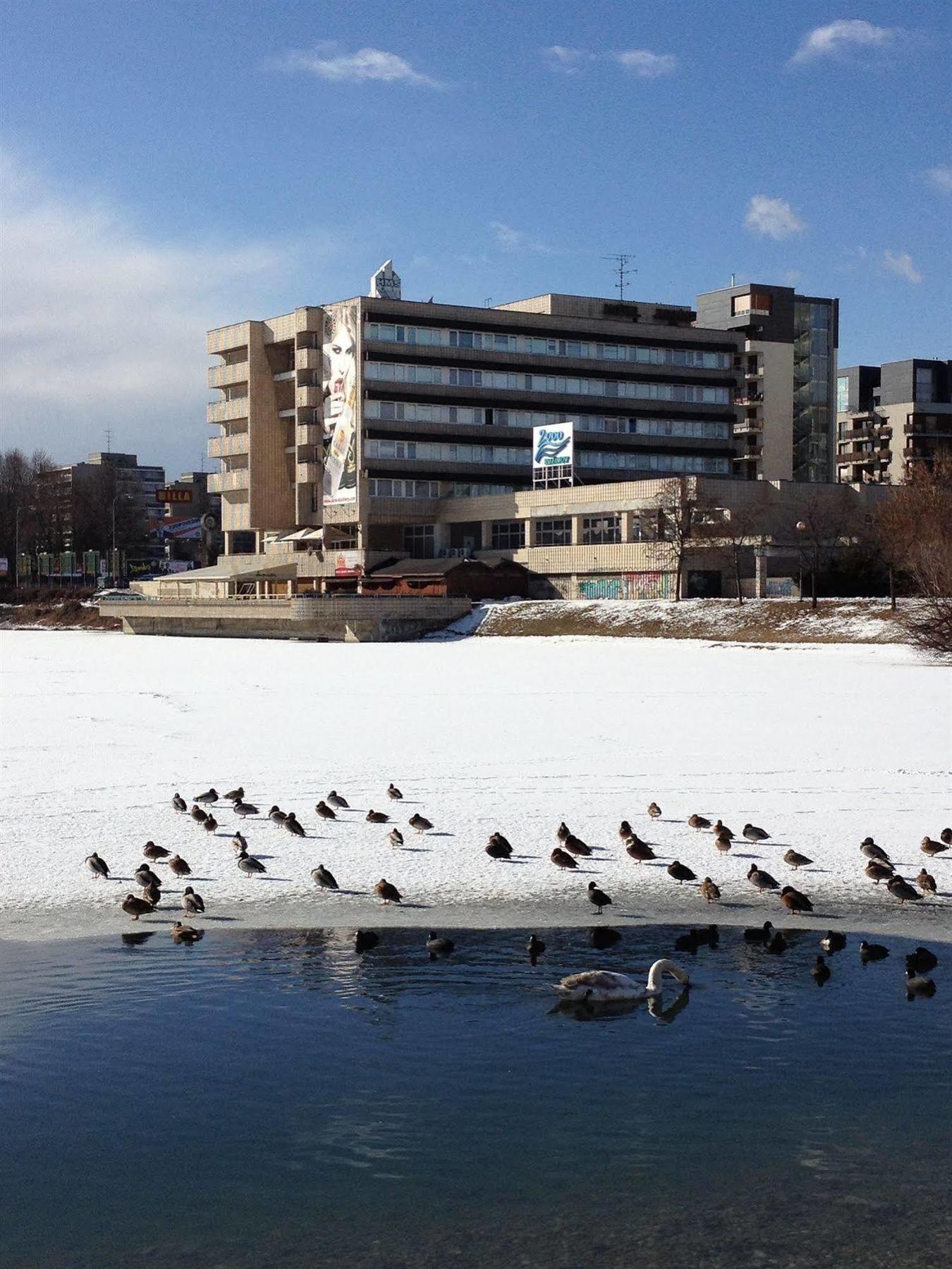 Garni Hotel Junior Bratislava Eksteriør billede